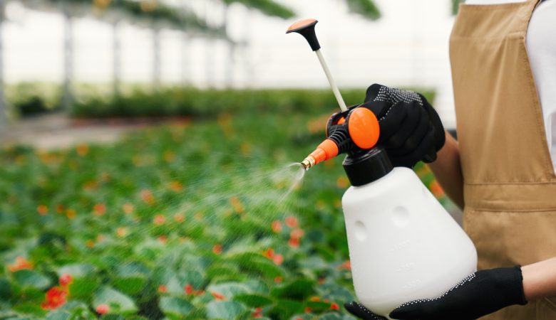 Pest Management Solutions