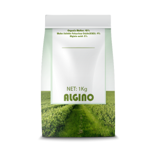 ALGINO