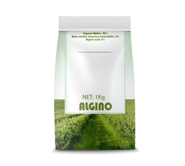 ALGINO