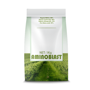 AMINOBLAST