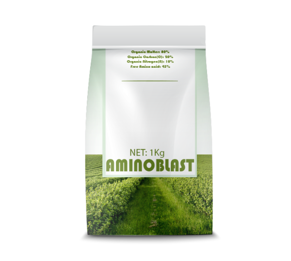 AMINOBLAST