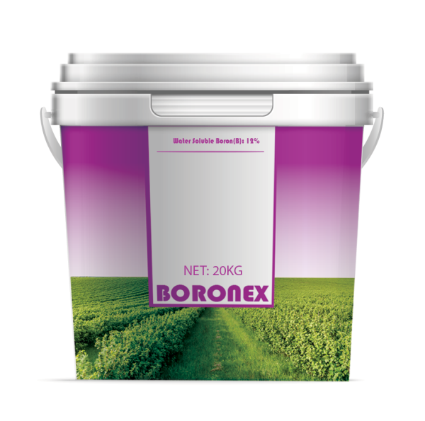 BORONEX