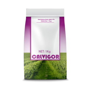 CALVIGOR