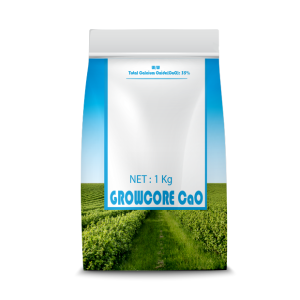 GROWCORE CaO