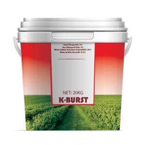 K-BURST