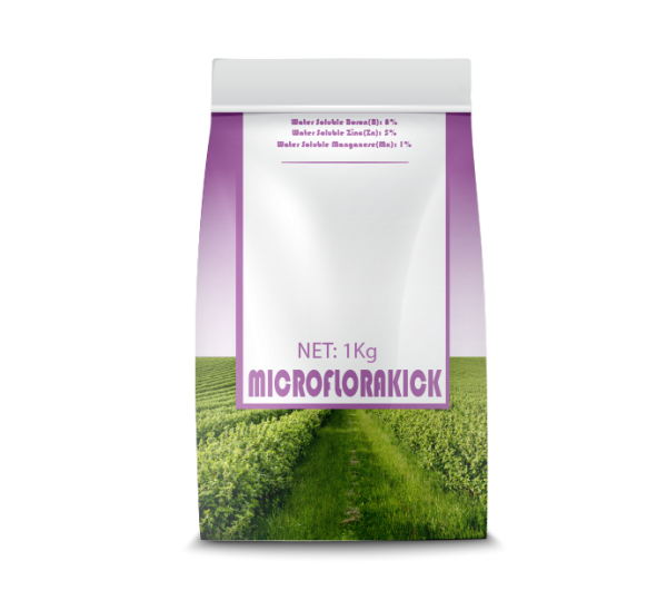 MICROFLORAKICK